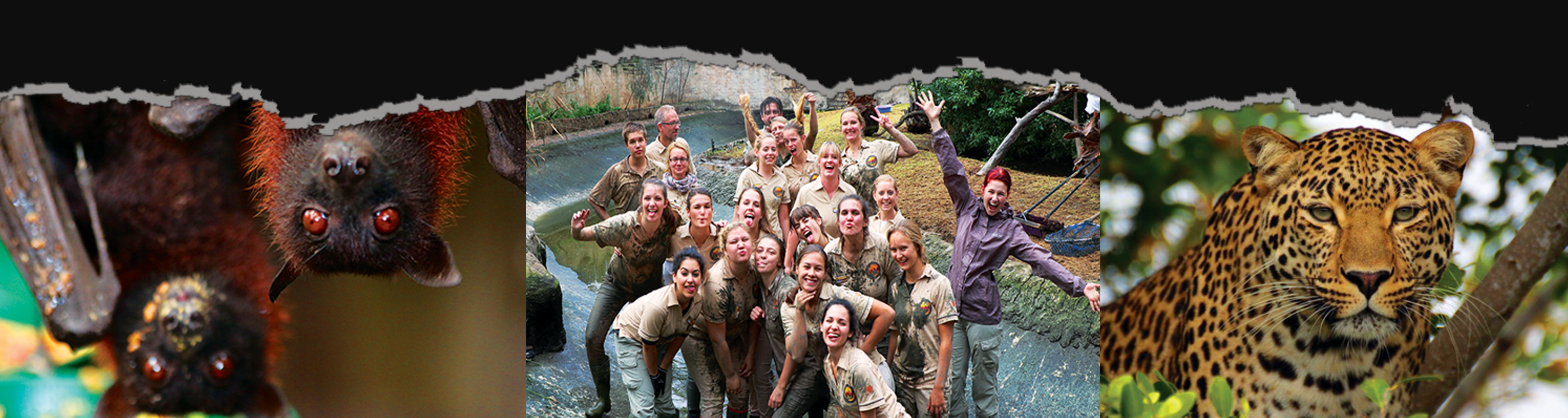 Wild Animal Volunteers | Reviews